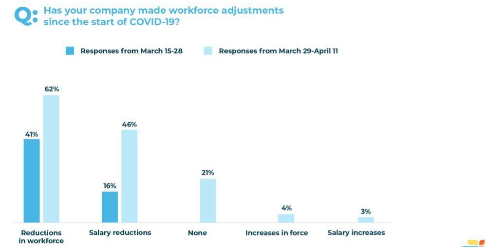 Has your company made workforce adjustments since the start of COVID-19?