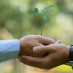 Sustainability